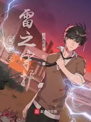《家教之雷之守护》小说封面