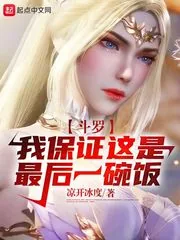 《斗罗：我保证这是最后一碗饭》小说封面