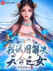 《我试图解决天命之女》小说封面