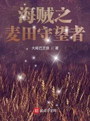 《海贼之麦田守望者》小说封面