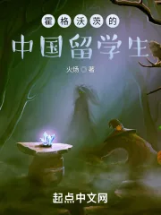 《霍格沃茨的中国留学生》小说封面
