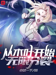 《从木叶开始无限分裂》小说封面