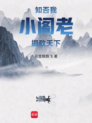 《知否：我，小阁老，摄政天下》小说封面