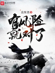 《有风险就对了》小说封面