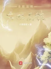 《全职法师之双属性》小说封面