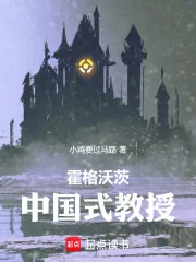 《霍格沃茨：中国式教授》小说封面
