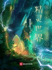 《精灵世界:我能听到精灵的心声》小说封面
