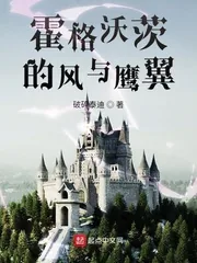 《霍格沃茨的风与鹰翼》小说封面