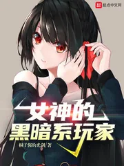 《女神的黑暗系玩家》小说封面