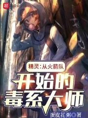 《精灵:从火箭队开始的毒系大师》小说封面