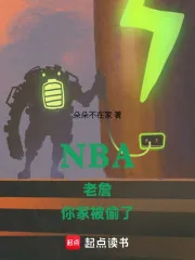 《NBA老詹，你家被偷了》小说封面