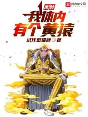 《木叶：我体内有个黄猿》小说封面