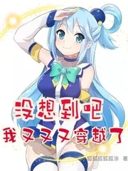 《没想到吧我又又又穿越了》小说封面