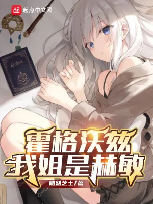 《霍格沃兹，我姐是赫敏》小说封面