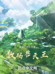 《数码兽天王》小说封面