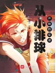 《从小排球开始的征途》小说封面