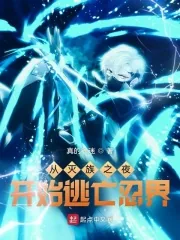《从灭族之夜开始逃亡忍界》小说封面