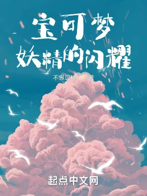 《精灵宝可梦：妖精的闪耀》小说封面
