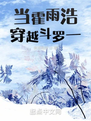 《当霍雨浩穿越斗罗一》小说封面