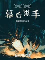《你管这叫幕后黑手？》小说封面
