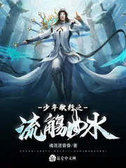 《少年歌行之流觞曲水》小说封面
