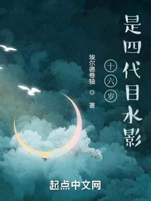 《十六岁，是四代目水影》小说封面