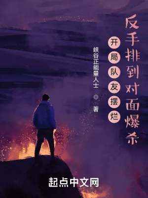 《开局队友摆烂，反手排到对面爆杀》小说封面