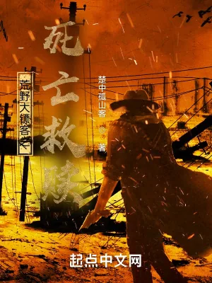 《荒野大镖客之死亡救赎》小说封面