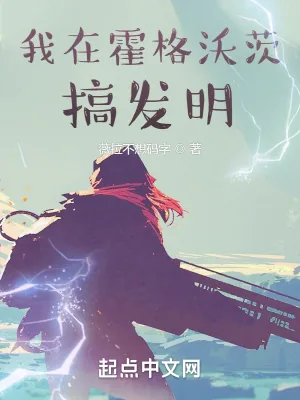 《我在霍格沃茨搞发明》小说封面